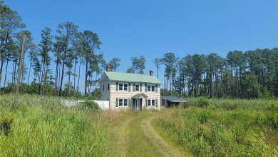 Photo of Near the Chesapeake Bay! Almost ten acres in Virginia. $149,900